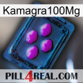 Kamagra100Mg 04